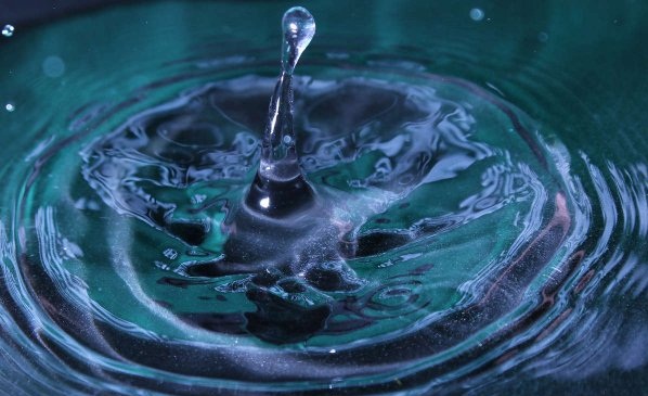 1483029920585943.jpg NULB.jpg