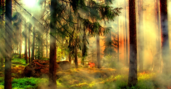 1470799035111936.jpg QQ截圖20160810111649600.jpg