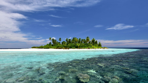 1470127775772855.jpg QQ截圖20160727111916.jpg