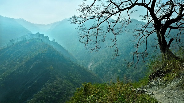 1469788818825880.jpg img-600.jpg