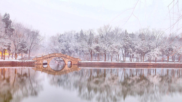 1465916494523994.jpg 671504-c31c5bac7eb36017.jpg