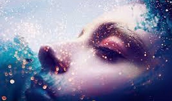 1464164043752157.jpg QQ截圖20160525161341.jpg