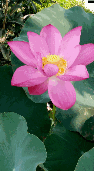 1463996510803478.gif 783864-1e8a7fc7b3bcfa6d.gif