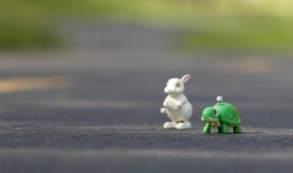 1455612584669189.jpg 012.jpg