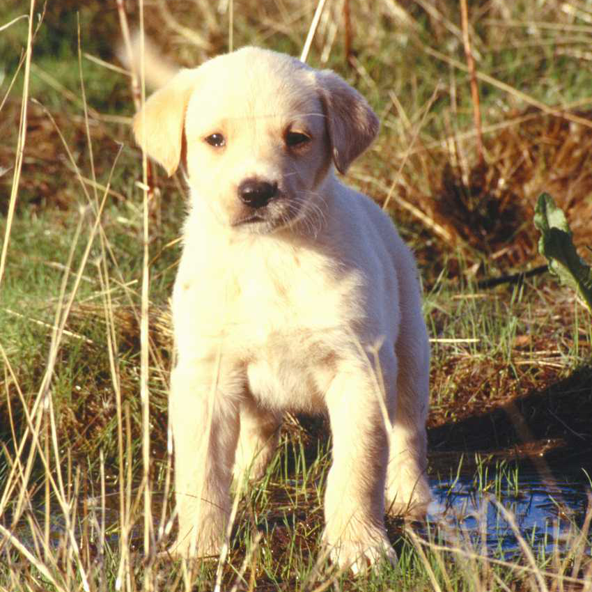 1455592122622256.png 727794-9d1b3de527549dd1.png