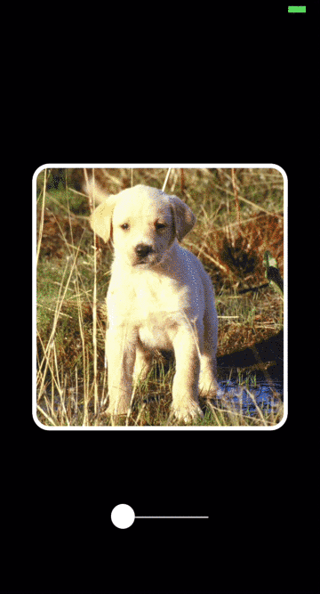 1455592524279596.gif 727794-6733bccd6aef2b46.gif