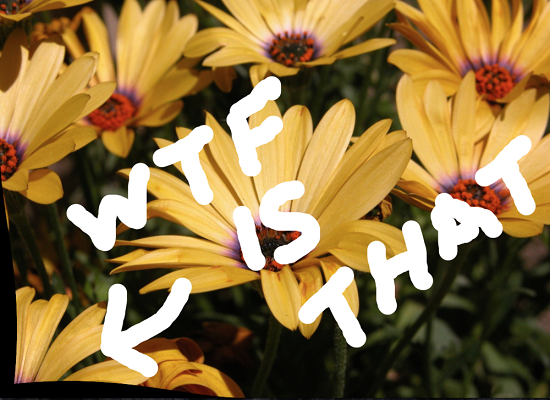 1449106924122905.png 下載.png