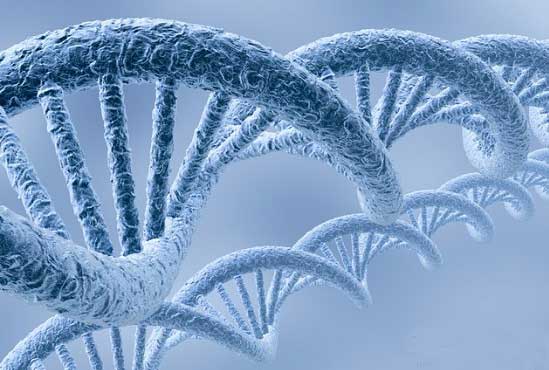 1441954915879237.jpg 003.jpg