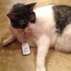 1440057498265777.jpg zorro-ibeacon-250x250.jpg