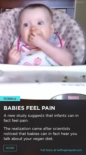 1438918346449923.png 015.png