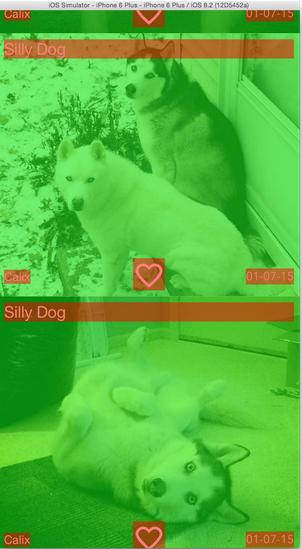 1437983602332092.jpg 24.jpg