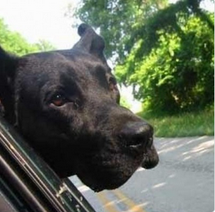 1433927562572960.png blob.png