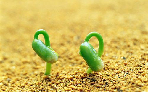 1433125912599511.jpg 1.jpg