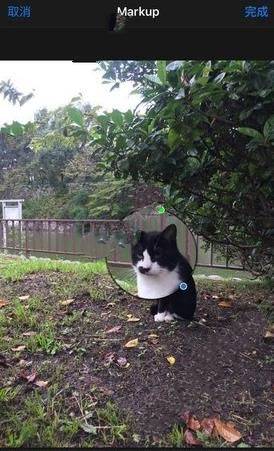 iOS10相冊圖片標注入口在哪? 三聯