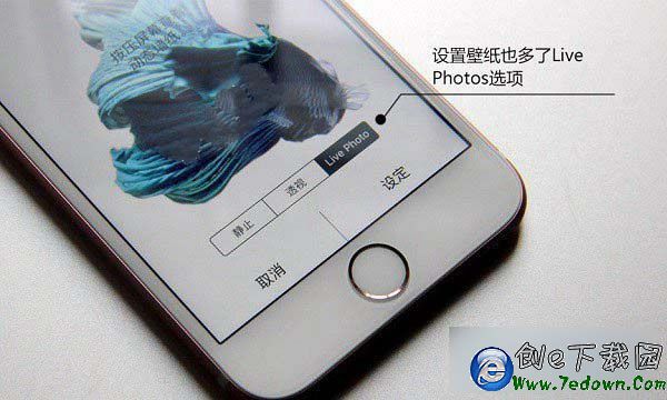 iPhone6s玫瑰金Live Photos拍照功能如何使用?