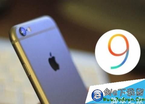 d657eab1-d d657eab1-d.jpg