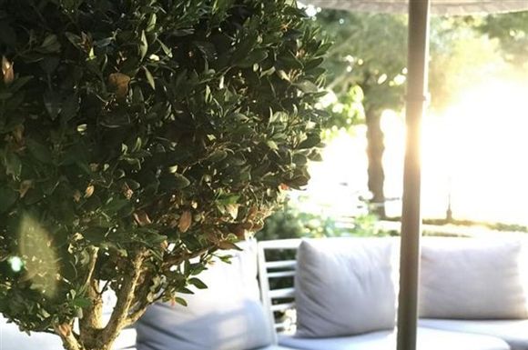 低光下蘋果iPhone7 Plus長焦鏡頭為何無法工作?