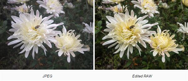 蘋果iPhone RAW和JPEG照片區別對比:差別好大