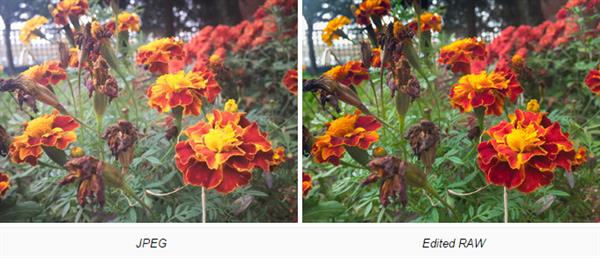 蘋果iPhone RAW和JPEG照片區別對比:差別好大