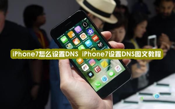 iPhone7怎麼設置DNS?