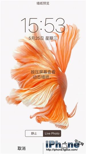 iPhone6s動態壁紙動不了怎麼辦?