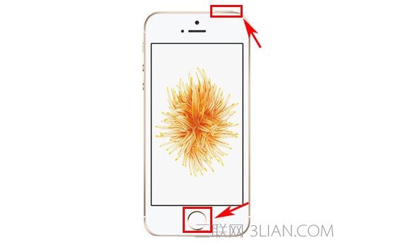 蘋果iPhoneSE強制關機方法 