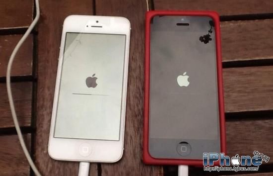 iPhone白蘋果、死機怎麼辦?