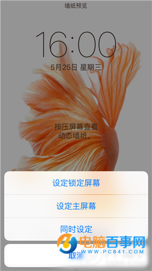 iPhone6s動態壁紙不動怎麼辦 iPhone6s動態壁紙設置教程