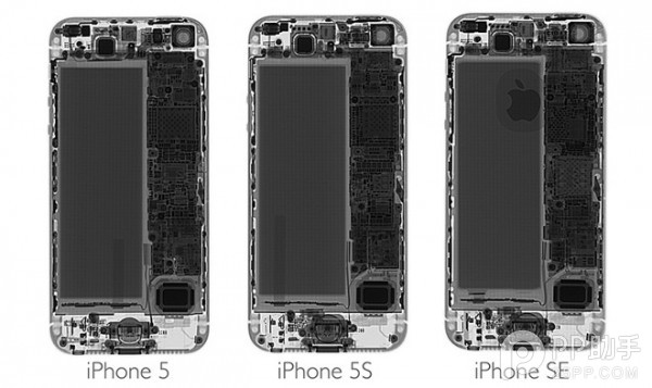 iPhoneSE拆解
