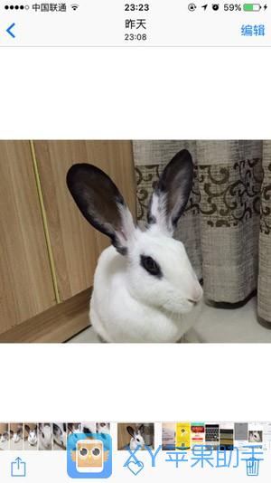 iOS 9實用技巧:玩轉這些才是真懂iPhone