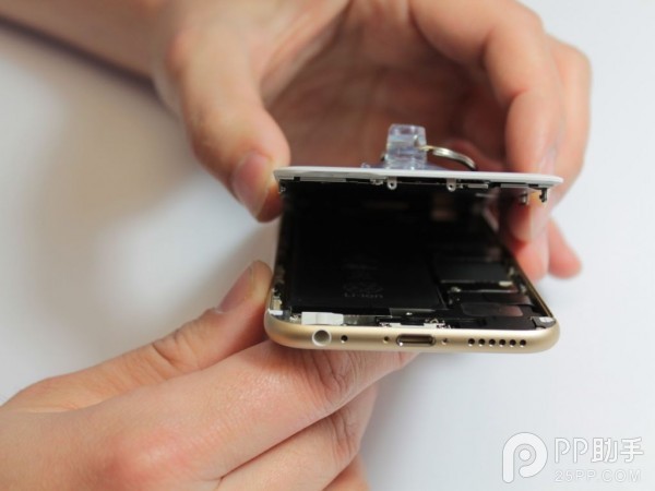 iPhone 6 顯示屏發出古怪聲響你有遇到麼?