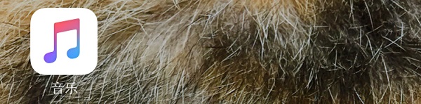 applemusic好用嗎?蘋果音樂app使用評測體驗