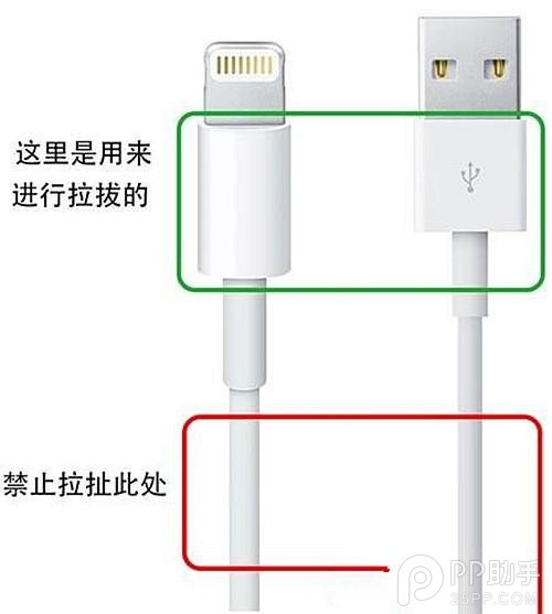 五招教你保養iPhone原裝數據線