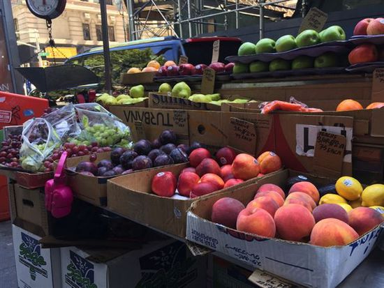 iPhone 6 Plus樣張出爐:遠不如售價驚艷