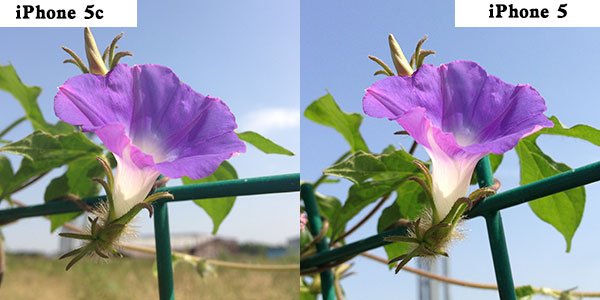 六問蘋果iPhone 5c:改變在哪?該不該買?