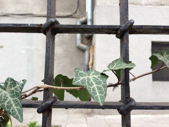 三星Galaxy S4對比iPhone 5 性能做工各具優勢