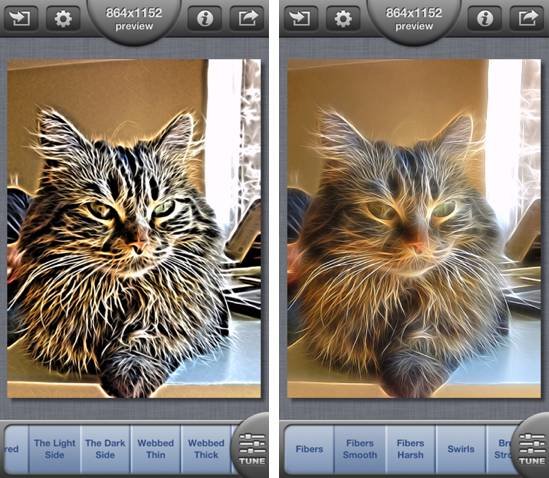 Tangled FX&ldquo;電力四射&rdquo;的個性照片 