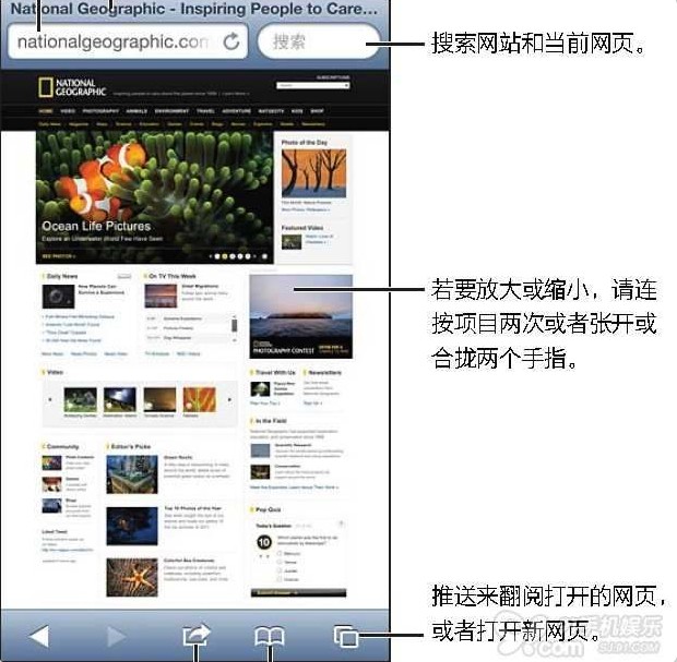 iPhone浏覽器Safari基礎使用技巧