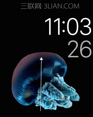 蘋果手表怎麼測心率心跳